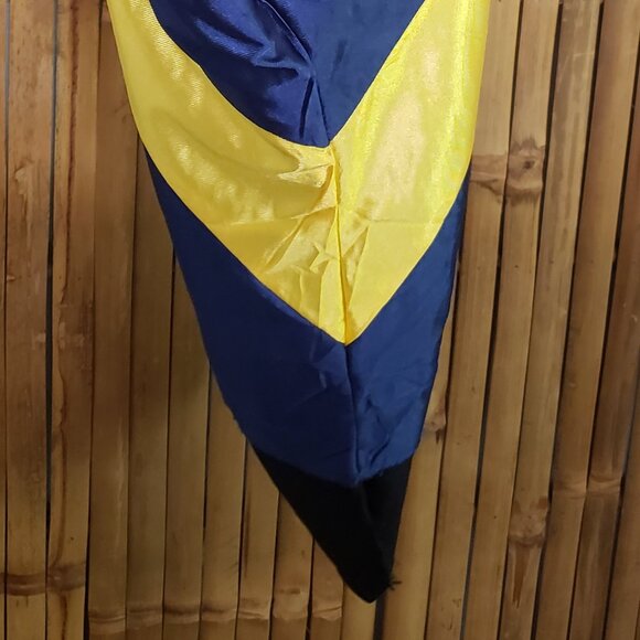 Master's Regalia Hood Blue and Gold Master of Arts - Picture 3 of 10